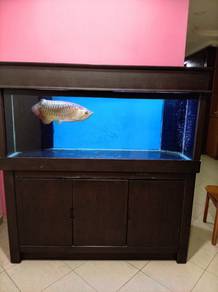 Aquarium