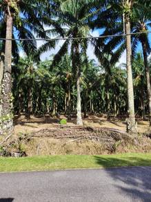 Agricultural Land in Gurun, KDH