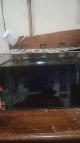 aquarium