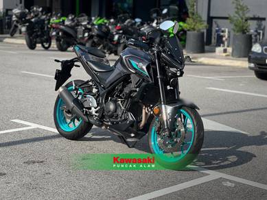 Yamaha MT250