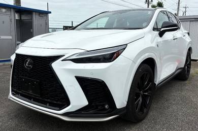 2022 Lexus NX 350 F SPORT
