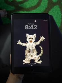 Ipad mini 5th gen 2019