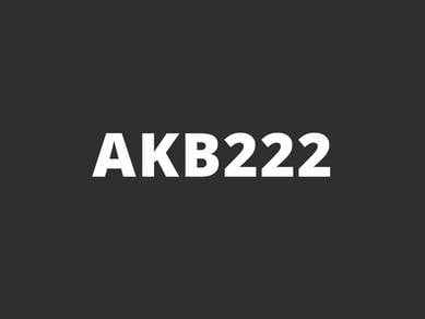 AKB222