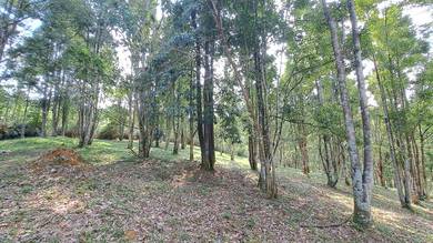 Agricultural Land in Kajang, SGR