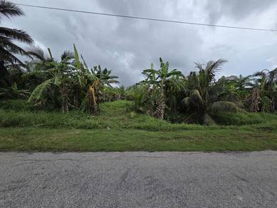 Agricultural Land in Tanjong Karang, SGR