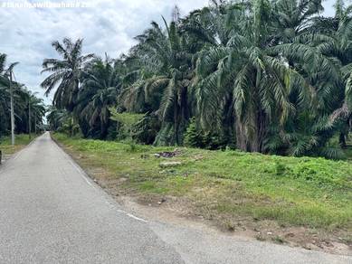 Agricultural Land in Kuala Selangor, SGR