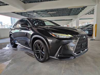 Lexus NX 250 LUXURY in Sungai Besi, KUL