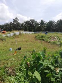 Industrial Land in Mantin, NSN