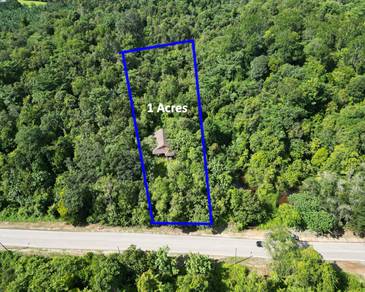 Residential Land in Chukai, TRG