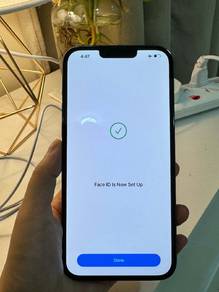 iPhone 13 Pro Max Green