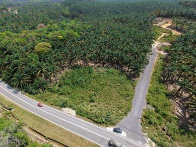 Agricultural Land in Kulim, KDH