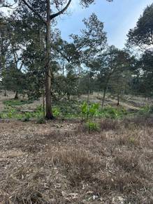 Agricultural Land in Kluang, JHR