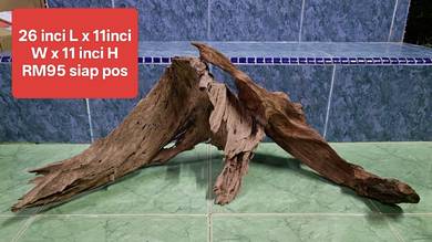 driftwood akar best untuk aquascape aquarium