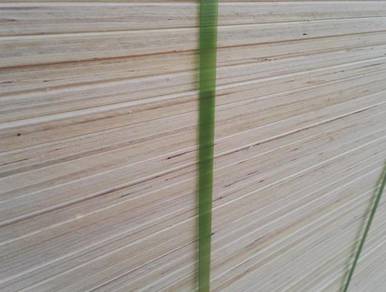 Plywood for building construction