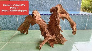 kayu hiasan akuarium M shape 2 kayu combine