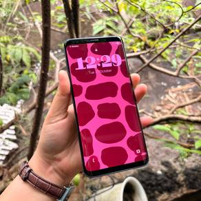 Samsung Galaxy S9 Plus (Android 15)