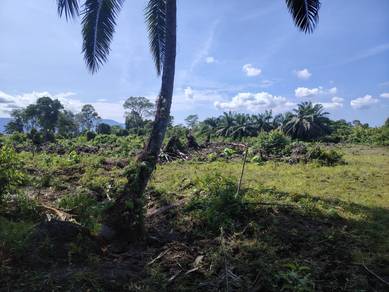 Agricultural Land in Kamunting, PRK
