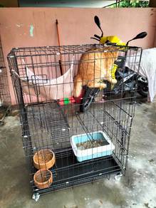 Sangkar Kucing Medi-Besar