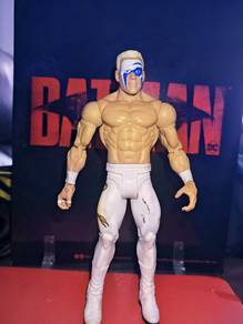 WWE sting