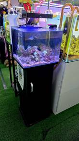 Salt water tank full set