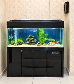 aquarium 
