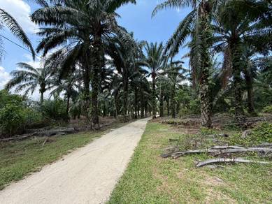 Agricultural Land in Jasin, MLK