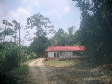 Agricultural Land in Simpang Pertang, NSN