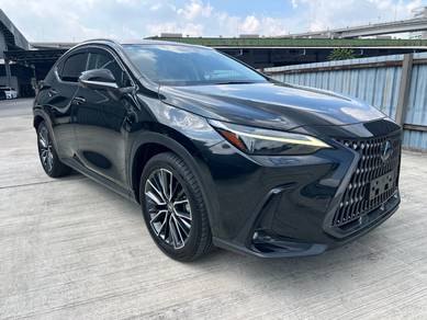 Lexus NX 250 BASE GRADE in City Centre, KUL