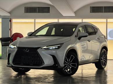 Lexus NX 250 LUXURY in Setapak, KUL