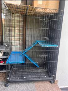 sangkar kucing