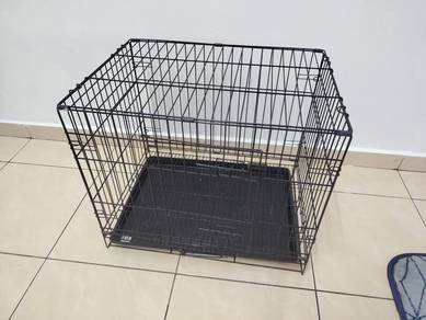 sangkar kucing 