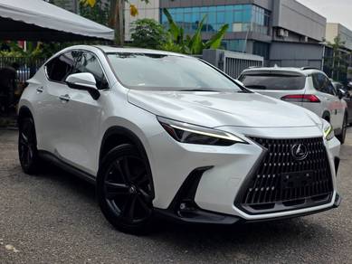 Lexus NX 250 LUXURY in Glenmarie, SGR