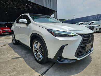 2023 Lexus NX 250 LUXURY