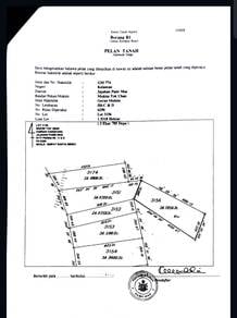 Agricultural Land in Pasir Mas, KTN