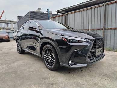 2023 Lexus NX 250 LUXURY