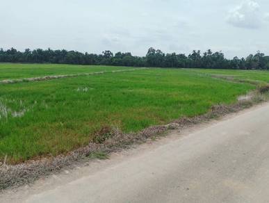 Agricultural Land in Semanggol, PRK