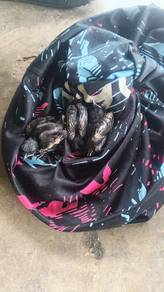 anak burung 