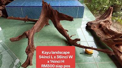 Kayu LANDSCAPE DRIFTWOOD - PONTIAN