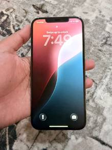 iphone 12 pro max 256gb