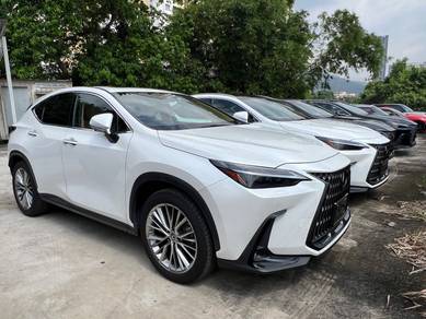 2023 Lexus NX 250 LUXURY