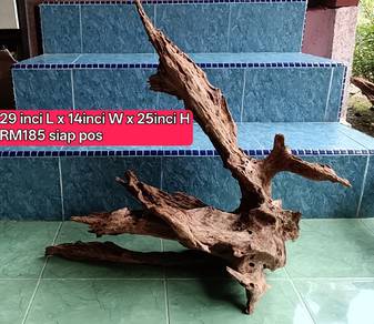 aquarium driftwood BESAR  1piece