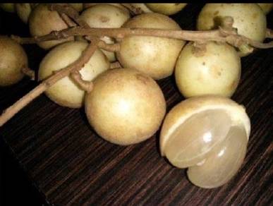 Buah rambai