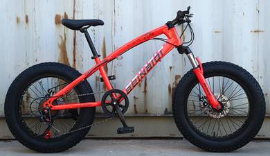20 Inch Tire Bike Children Red Mountain Bicycle