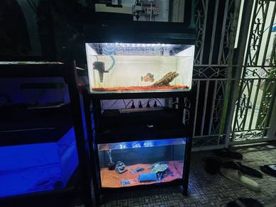 aquarium