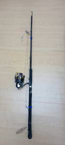 Fishing rod and reel