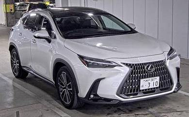 Lexus NX 250 LUXURY in Cheras, KUL