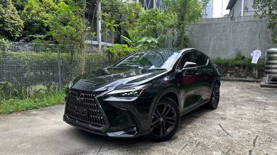 Lexus NX 250 LUXURY in Desa Petaling, KUL