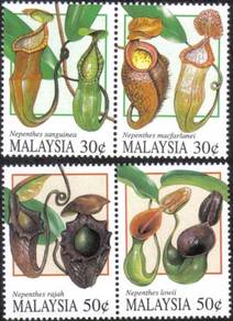 Mint Stamp Pitcher Plant (clean) Malaysia 1996