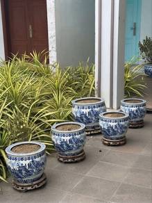 vintage pot