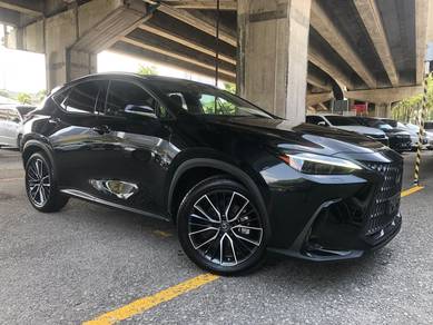 2022 Lexus NX 250 LUXURY